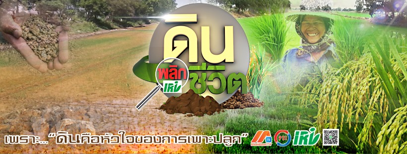 ขายสารปรับปรุงดิน ขายสารปรับปรุงดิน