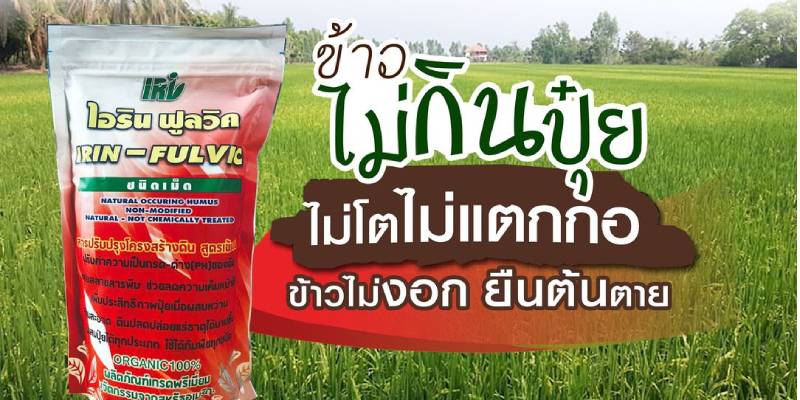 ขายไอริน ฟูลวิค ปุ๋ยเพิ่มผลผลิต ขายไอริน ฟูลวิค ปุ๋ยเพิ่มผลผลิต