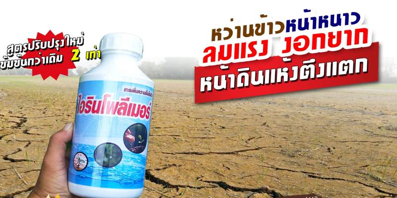 ขายไอริน-โพลีเมอร์ ยาแก้ปัญหาหน้าดิน ขายไอริน-โพลีเมอร์ ยาแก้ปัญหาหน้าดิน